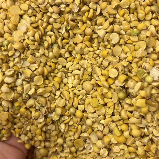 郓城县碎大豆 上地养殖肥料豆 榨油压饼豆 膨化豆