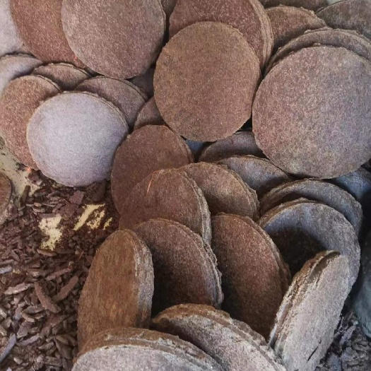 田林县广西茶枯茶饼