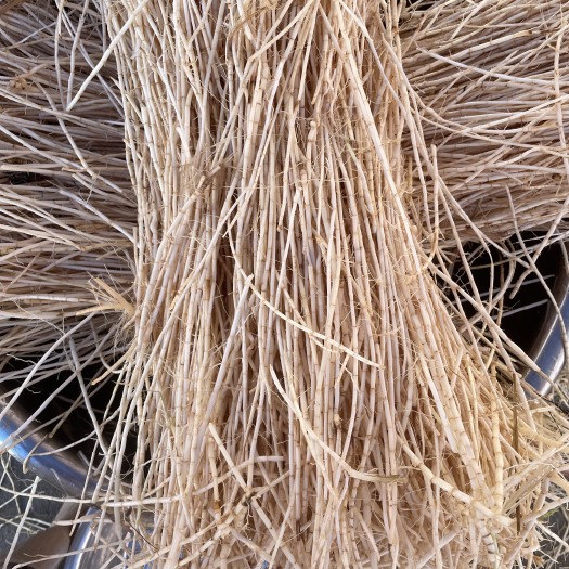 罗定市优质白茅根，原产地批发，需要的老板请联系