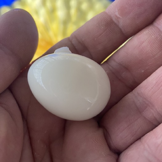 昆明云南去壳新鲜鹌鹑蛋
