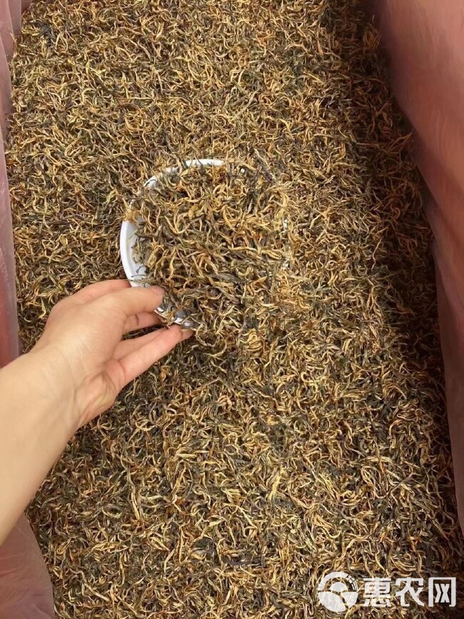 英红九号 红茶 金丝芽 批发价 散装袋装 英德红茶 花香红茶