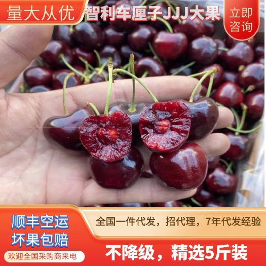 【顺丰空运】智利车厘子特大樱桃新鲜水果脆甜樱桃整箱