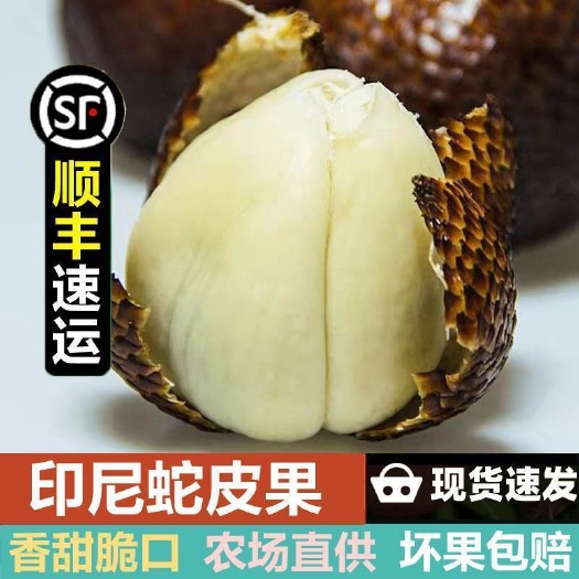 蛇皮果干冰发货新鲜水果罕见稀奇古怪热带水果