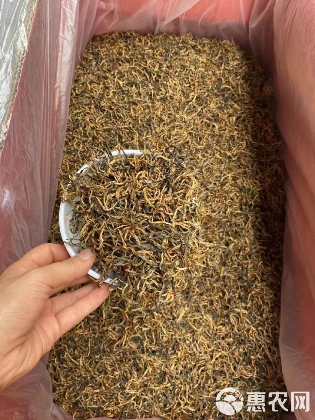 英红九号 红茶 金丝芽 批发价 散装袋装 英德红茶 花香红茶