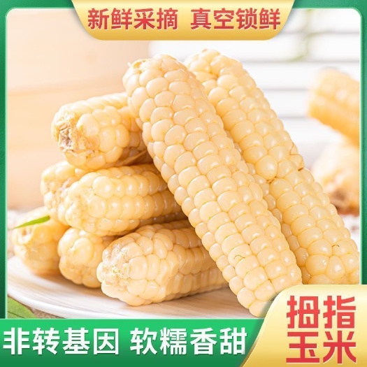 云南拇指玉米  一件代发 全平台可发面单