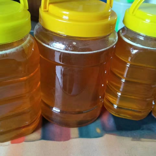 南宁蜂蜜出售 荔枝蜜 龙眼蜜  农家自养蜂场 保证天然纯正