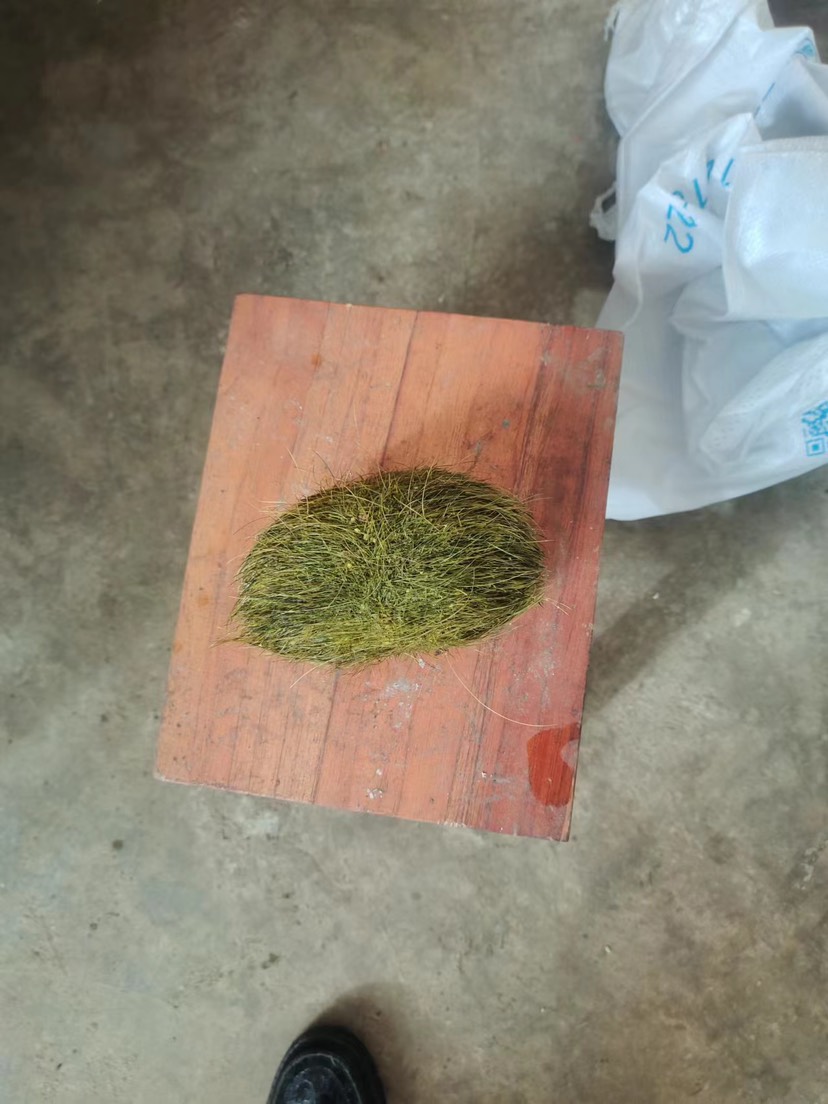 农村土猪猪宝新鲜货