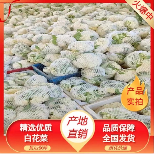 建瓯市白花花菜