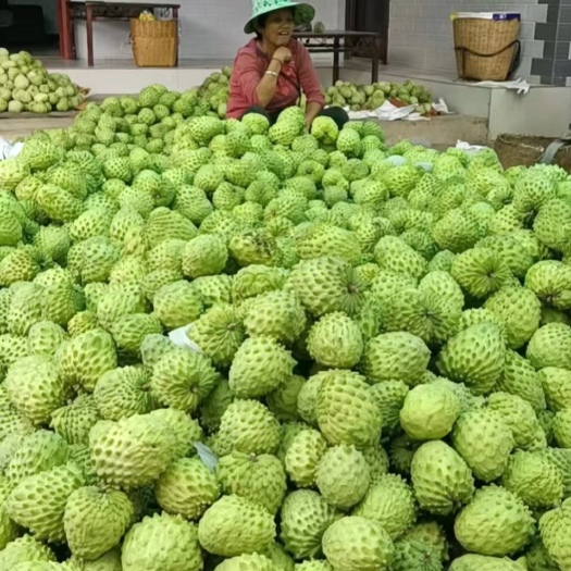 昆明云南牛奶凤梨释迦果