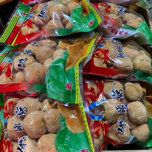厦门猴头菇干货