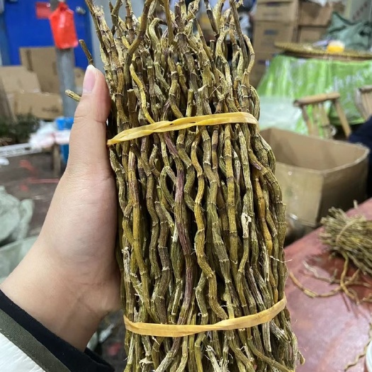 英德市石斛条 精选  满满的胶质￼ 产地直销 大量现货