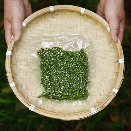 重庆市保鲜花椒江津九叶青
