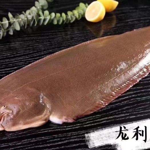 【新鲜推荐】龙利鱼海捕舌头鱼踏板鱼鳎目鱼鱼柳子板鱼海鲜