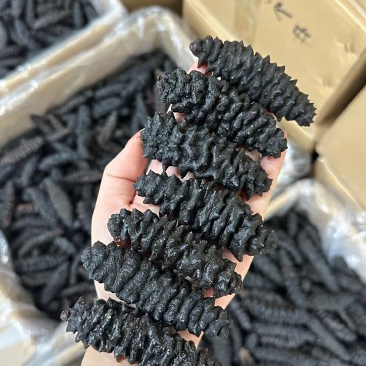 龙纹参爆款龙纹参价格便宜
