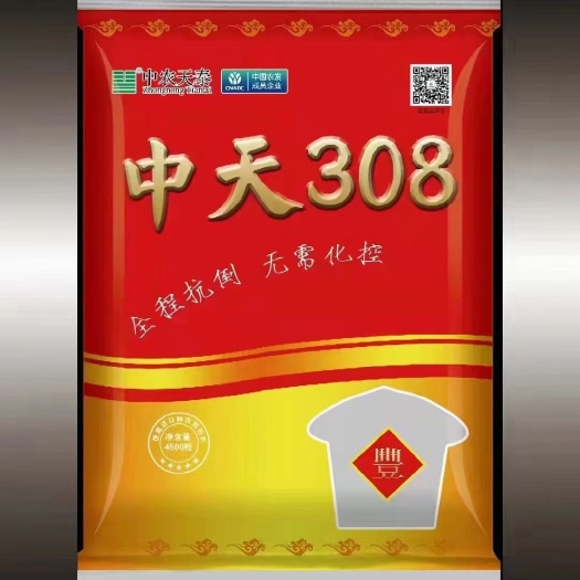 玉米种子中天308抗倒无需化控5000株以上抗病耐旱耐涝