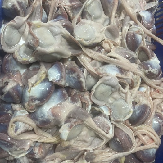 佛山鹅肾，每天新鲜大量货