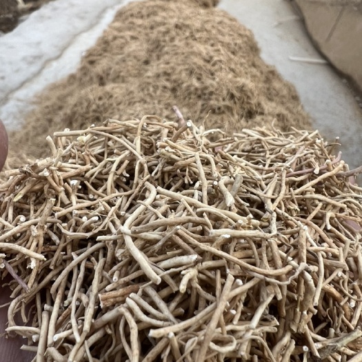 新泰市徐长卿饮片白薇饮片产地直销质量保证辽刁竹。