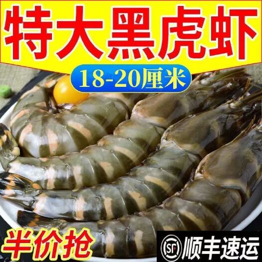 青岛黑虎虾超大特大号老虎虾斑节虾九节虾新鲜鲜活冷冻海鲜水产大虾