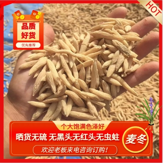曹县精品山东麦冬 个大饱满 色泽好 天然日晒货 无硫基地直发