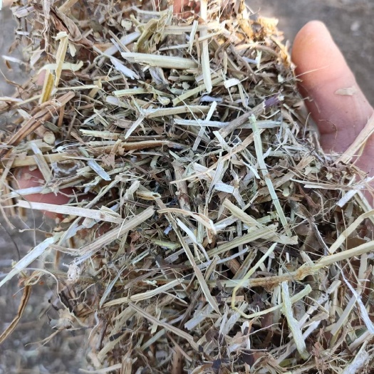 大名县供应花生秧草料切断花生秧牛羊饲料纯绿色无霉变五吨五吨起批