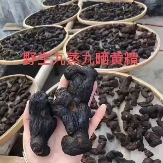 英德市黄精干 九精九晒￼  精选货 ￼产地直销￼