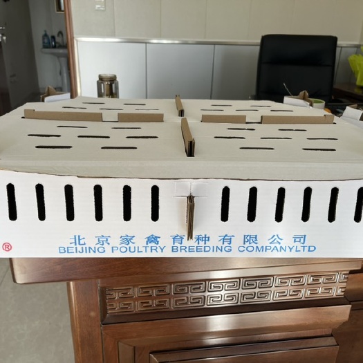 香河县雏鸡盒