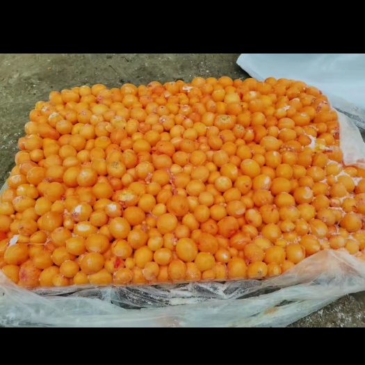 滑县鸡蛋黄，纯干货