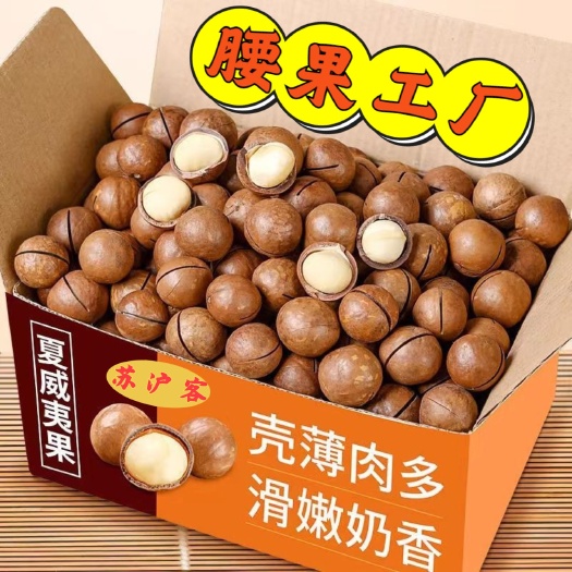 杭州夏威夷果仁特大颗粒奶油味休闲零食新货每日坚果澳洲南非地摊