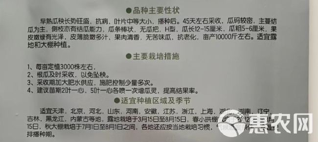 脆尤黄瓜种子 旱黄瓜种子 籽粒饱满 叶片中等大小 现货直发