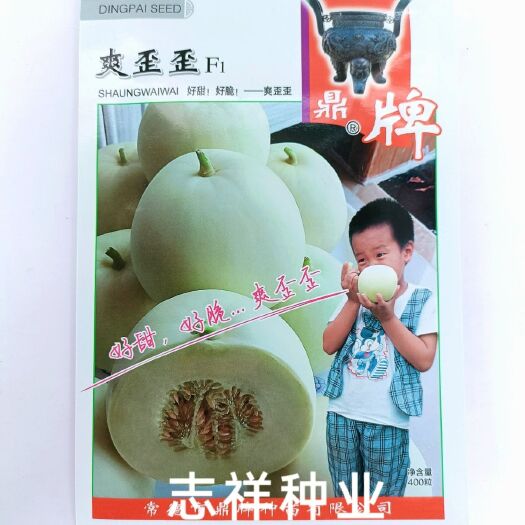 华容县鼎牌爽歪歪甜瓜种子早熟白皮白肉甜度高脆瓜香瓜种籽口感酥脆包邮
