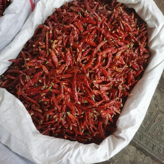长沙印度椒