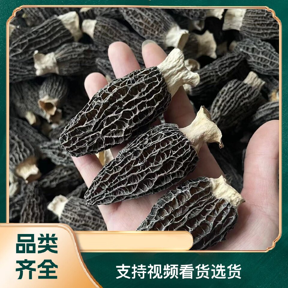 【一斤起批】新货精选头茬羊肚菌干货一手货源质量保证产地直批