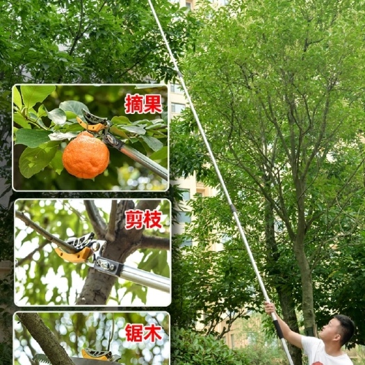 临沂【树枝剪】果树风景树高位修枝剪不用爬树平地操作安全轻松省力