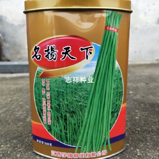 华容县宇翔豇豆名扬天下长豆角种子荚长早中熟翠绿色荚面光滑大田种植