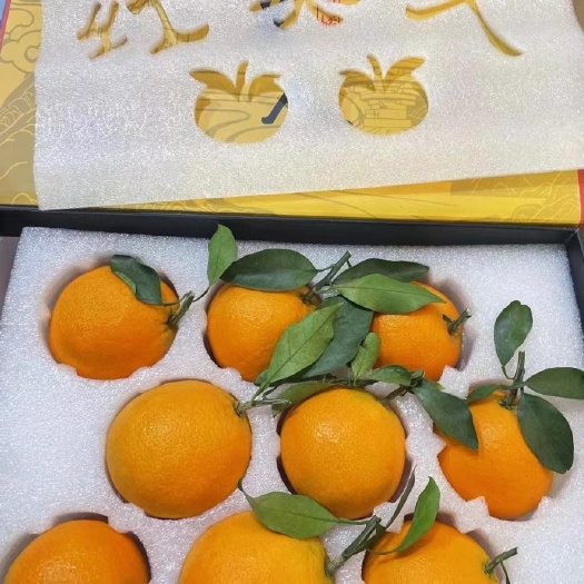 仙居县红美人柑橘