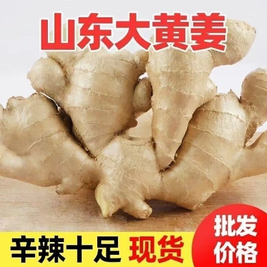 安丘市安丘大黄姜 水洗姜，风干姜产地直供一手货源价格便宜
