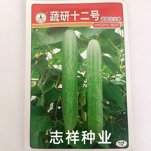 华容县兴蔬蔬研十二号黄瓜种子极早熟无苦味白皮黄瓜种籽瓜条直好吃