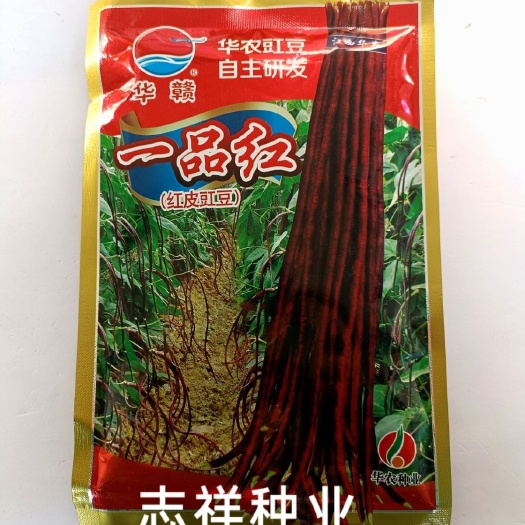 华赣一品红红皮豇豆长豆角种子优质美观荚长顺直肉厚200克