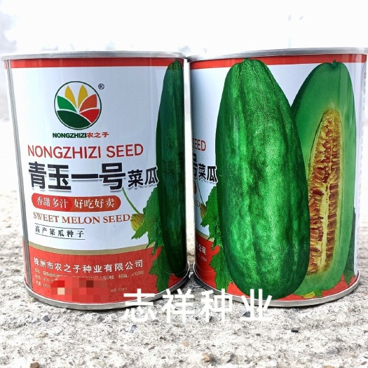 华容县农之子青玉一号菜瓜种子金沙瓜种籽耐热香甜多汁水果种子绿瓤甜瓜