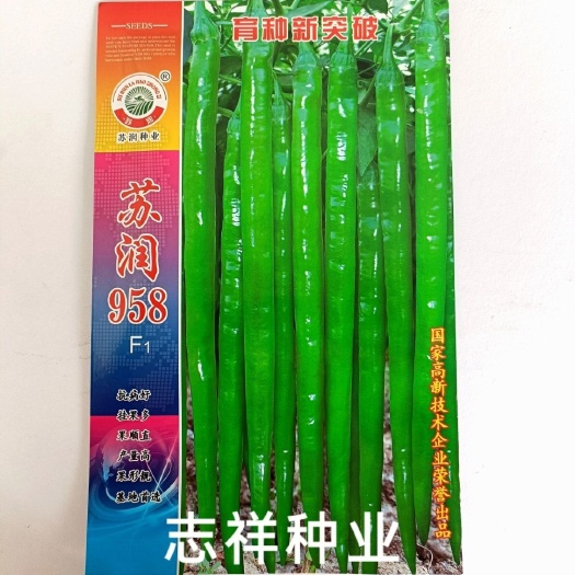 华容县苏润958长线辣椒种籽早熟抗病春秋播香辣果顺直靓特长线椒