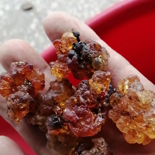 宜都市天然桃胶选货