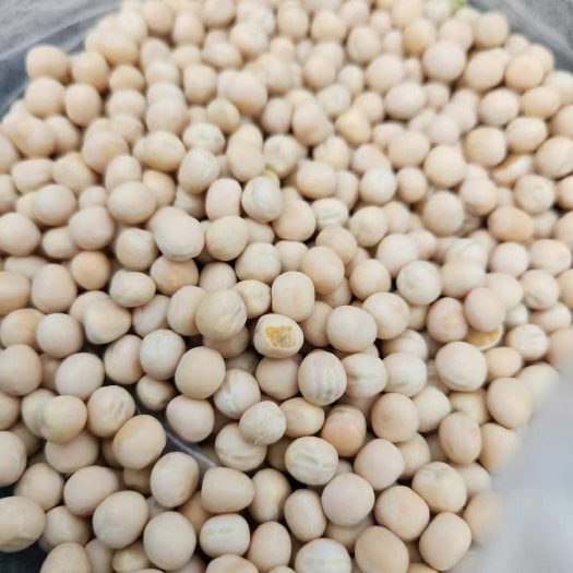 天津豌豆批发