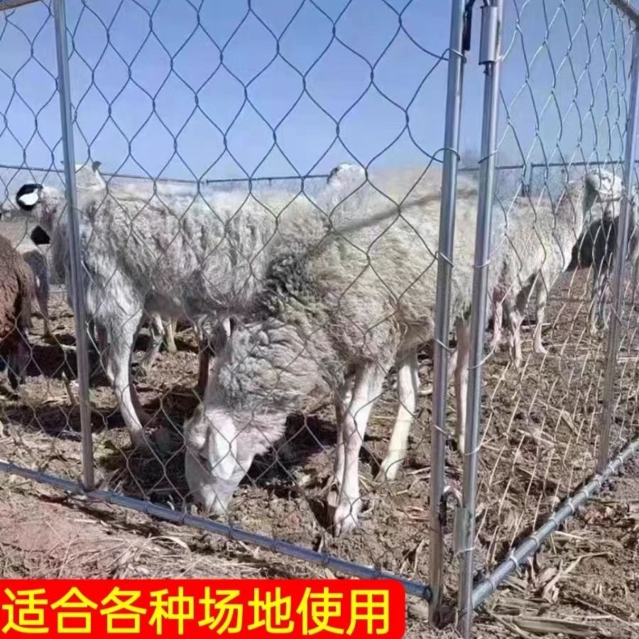 围栏网移动羊圈网鸡鸭门圈羊网牛栏网养殖网养殖牛栏网围栏