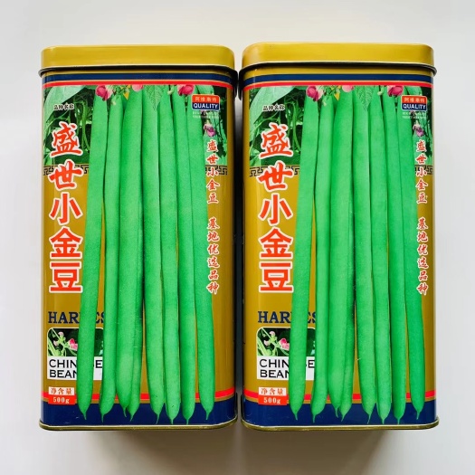 盛世小金豆种子 抗寒耐热芸豆四季豆种子春秋季菜豆种子圆形荚