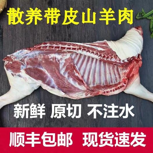 新野县新鲜带皮羊肉羊后腿羊前腿羊排原切速冻整只半羊肉（包邮）