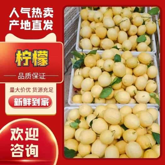 安岳县安岳柠檬基地直发大量供应三级大中小果皮光滑新鲜品质保证坏果赔