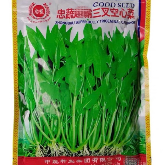 三叉空心菜种子 三叉空心菜种子 籽粒均匀 现货直发