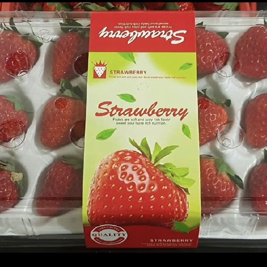 红颜草莓