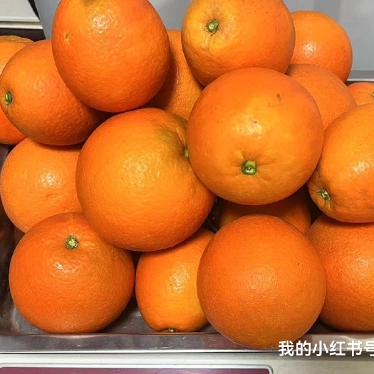 兴山县纽荷尔橙子包邮，也可以来果园定价