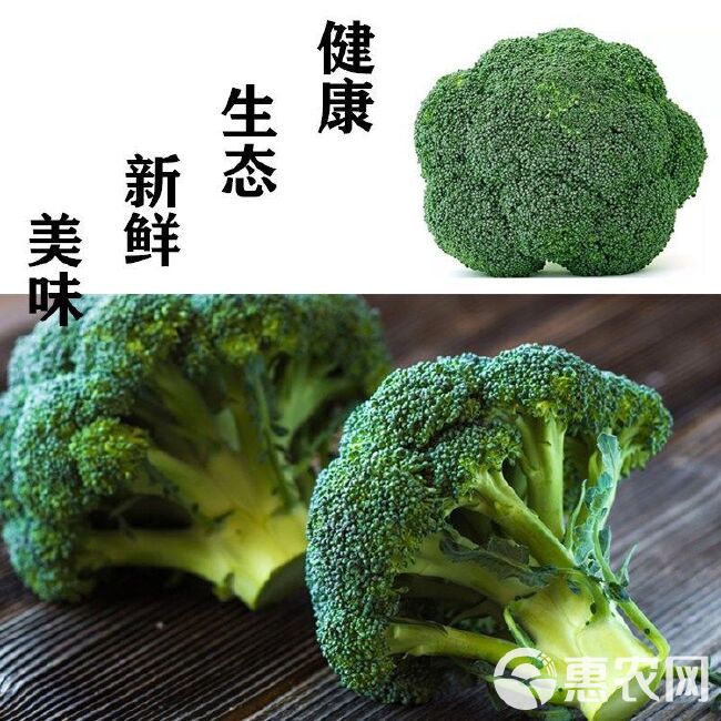 湖北西兰花优质西蓝花泡沫箱加冰袋装加冰散冰冰瓶翡翠西兰花